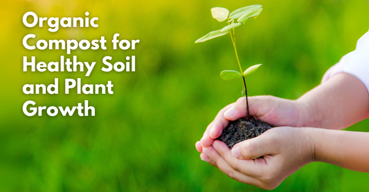 Compost For Healthy Soil And Plant