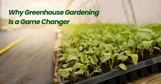 Greenhouse Gardening is a Game Changer