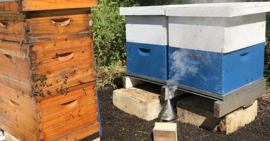 Spiritual Beekeeping