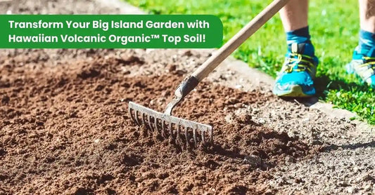 Transform Your Big Island Garden with Hawaiian Volcanic Organic™ Top Soil!