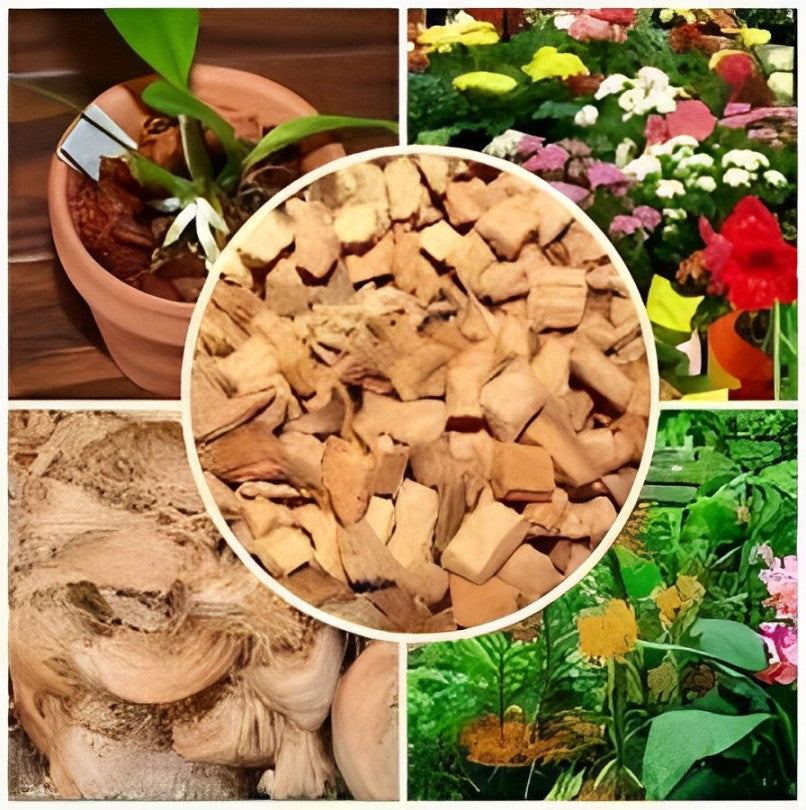 Coconut Chips