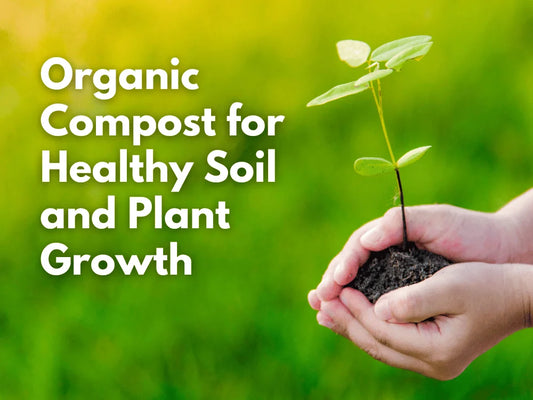 Compost For Healthy Soil And Plant