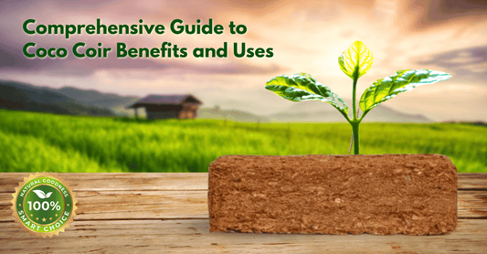 Comprehensive Guide to Coco Coir Benefits and Uses