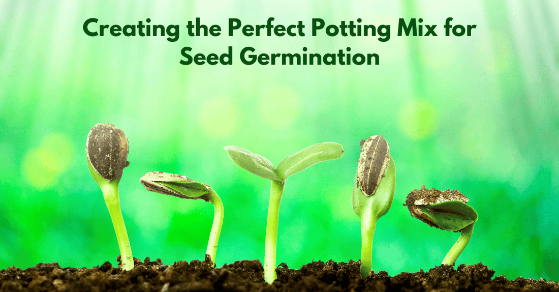 Creating the Perfect Potting Mix for Seed Germination