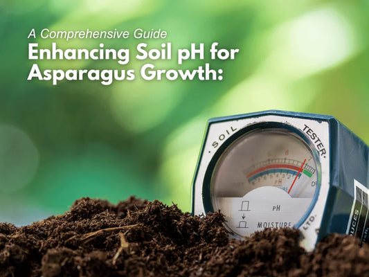 Enhancing Soil PH For Asparagus Growth