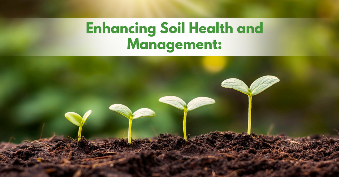 Enhancing Soil Health