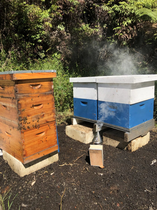 Spiritual Beekeeping