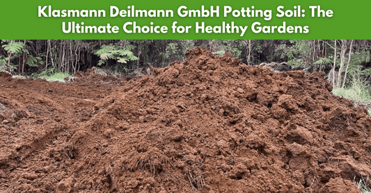 Klasmann Deilmann GmbH Potting Soil: The Ultimate Choice for Healthy Gardens