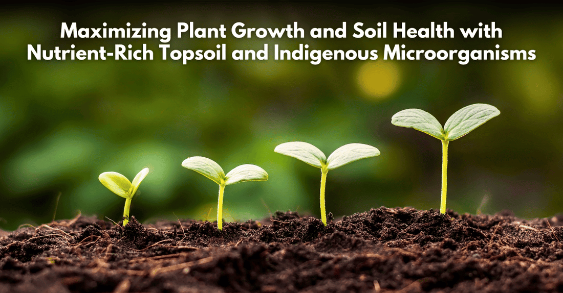 Maximizing Plant Growth and Soil Health with Nutrient-Rich Topsoil and Indigenous Microorganisms