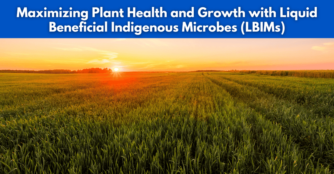 Maximizing Plant Health and Growth with Liquid Beneficial Indigenous Microbes (LBIMs)