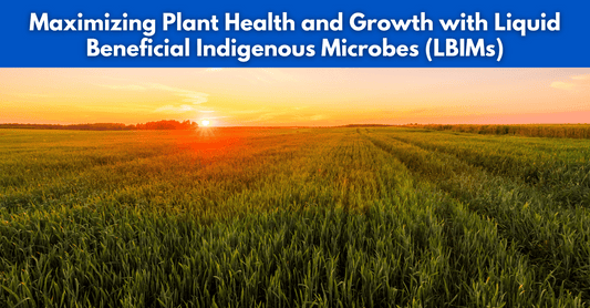 Maximizing Plant Health and Growth with Liquid Beneficial Indigenous Microbes (LBIMs)