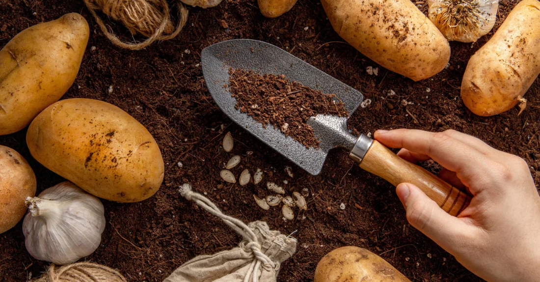 Natural Solutions For Potato Blight