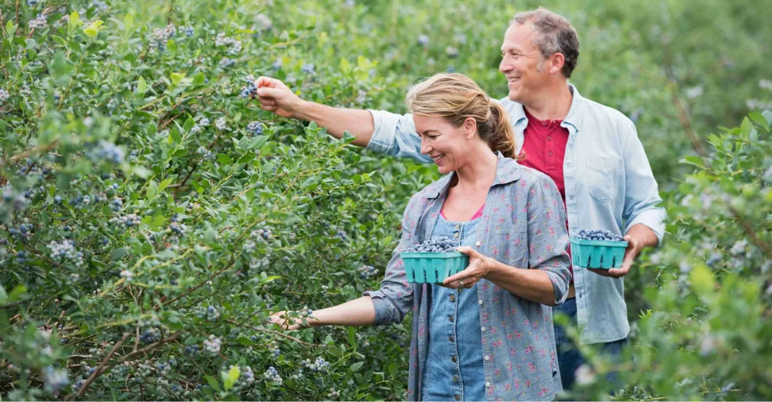 Organic Farming & Garden Tips