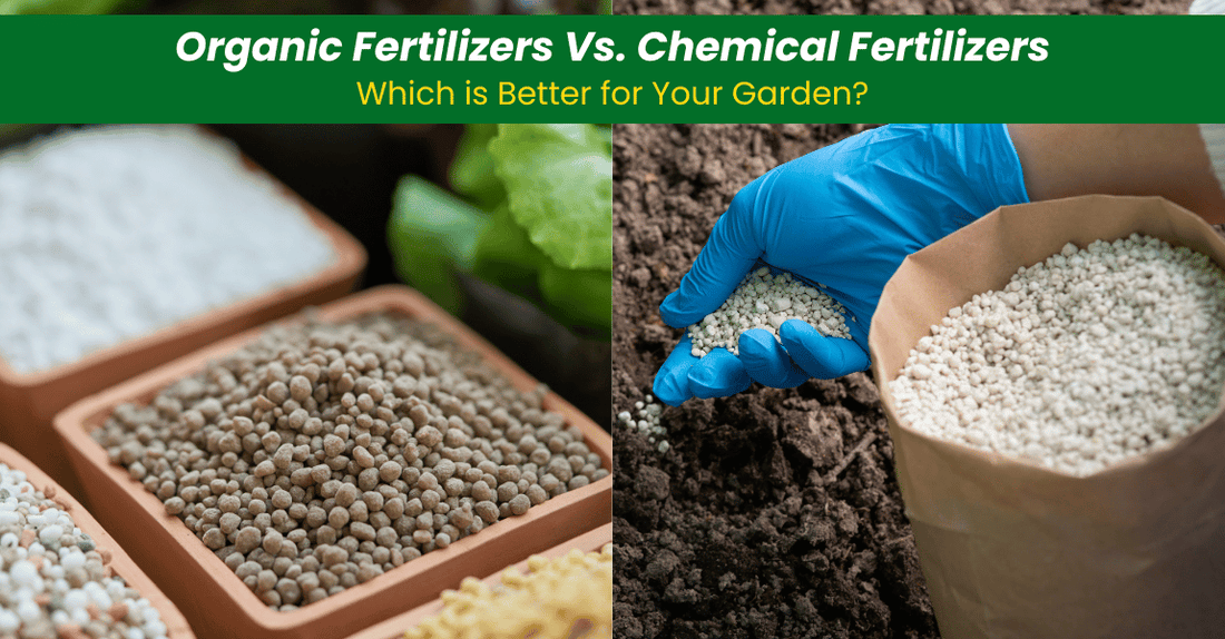 Organic Fertilizer better for Garden