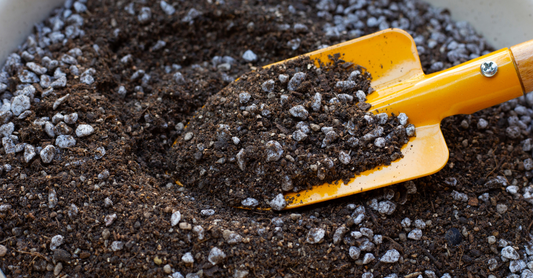 Power Of Cinder In Gardening Soil Mix