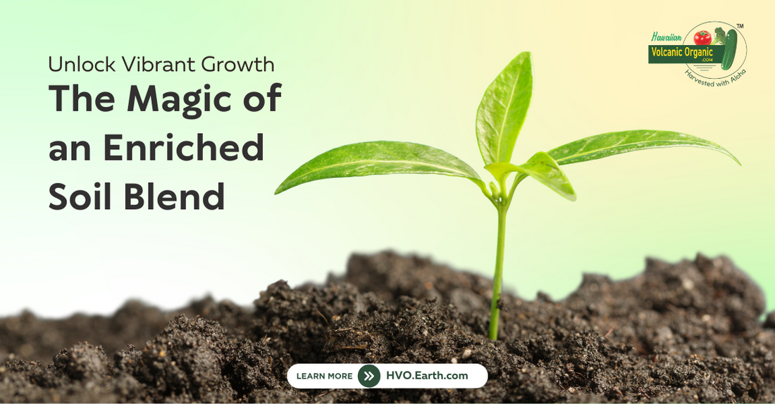Benefits Of Using Rich Topsoil