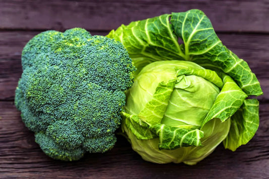 Broccoli And Cabbage Planting Guide