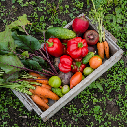 Mixed Vegetables