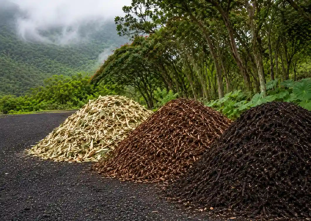 Three large mounds of dried plant material or bark in light tan, medium brown, and very dark brown are piled on a dark road, with a lush green forest and misty mountains in the background.
