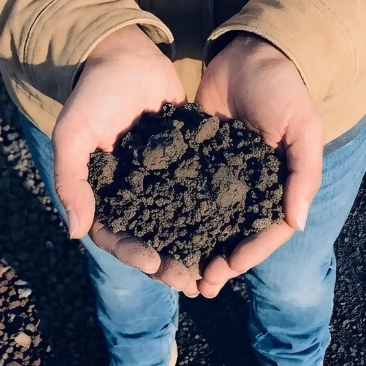 Two hands holding a heart-shaped pile of dark soil against a blurred natural background.