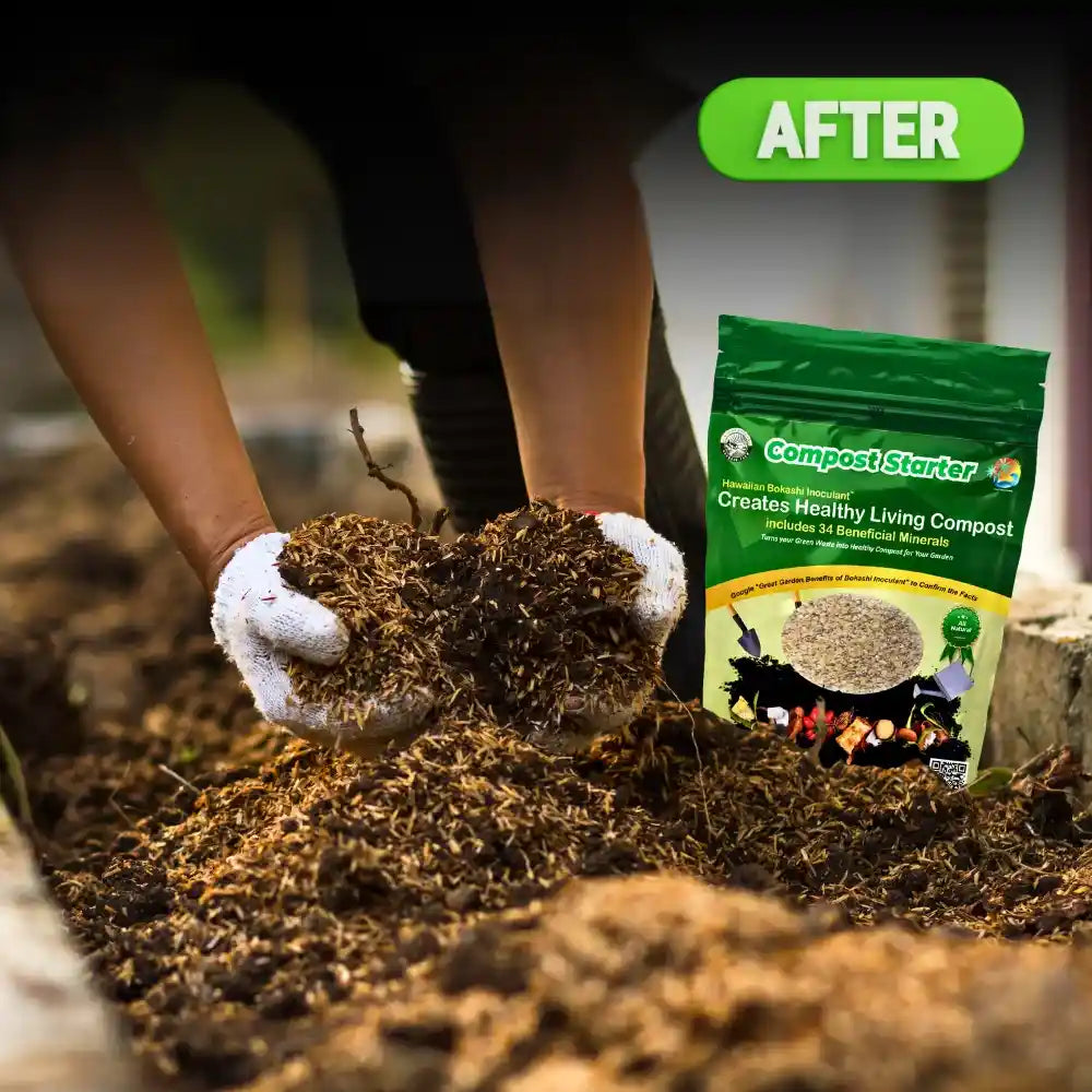 After HVO Compost: Vibrant, Living Earth