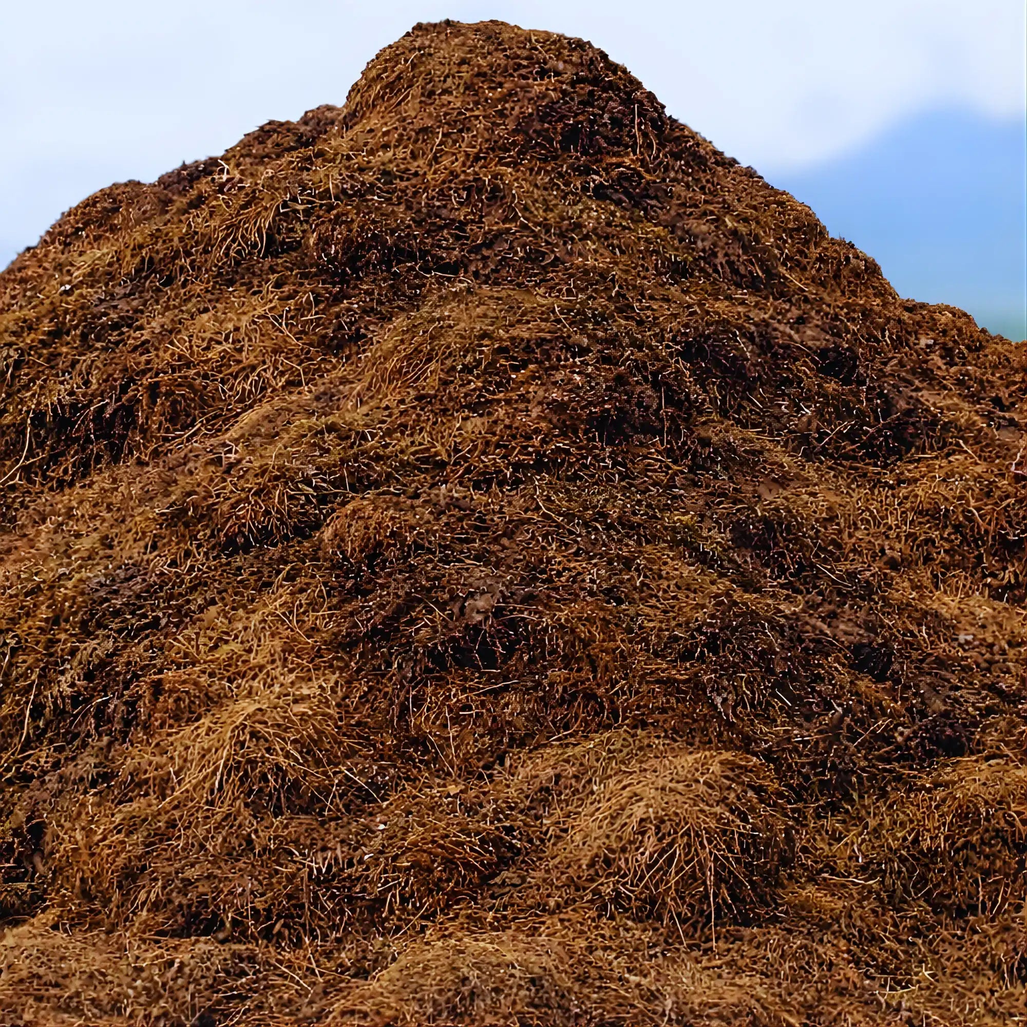 Large pile of brown mulch against a blue sky