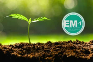 EM1 Technology