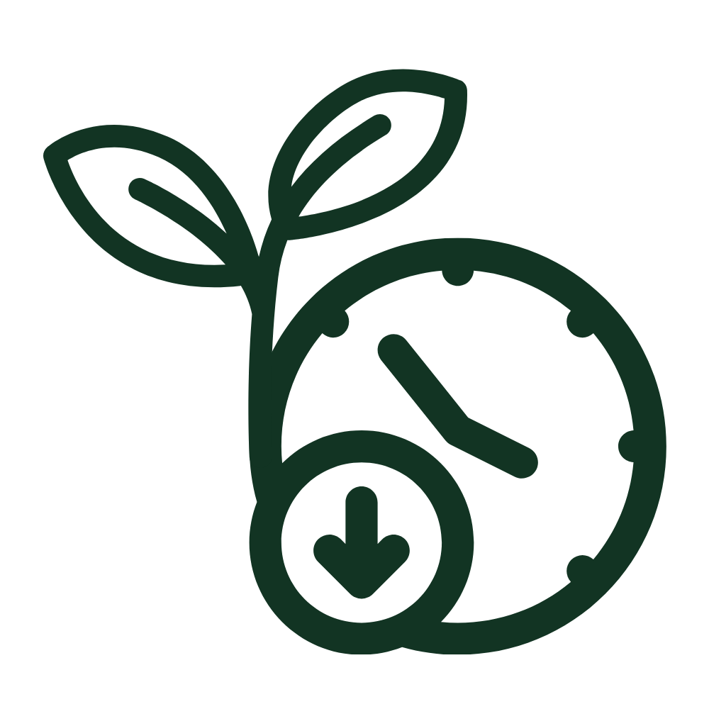Feeds slow Icon