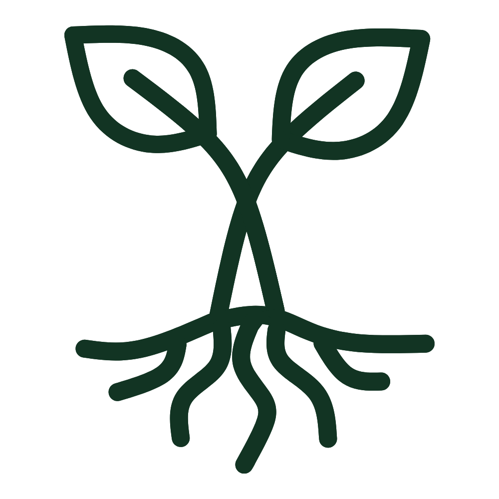 Icon of a gentle hand holding a seedling and soil, symbolizing our sustainable commitment to organic Hawaiian volcanic soil farming.