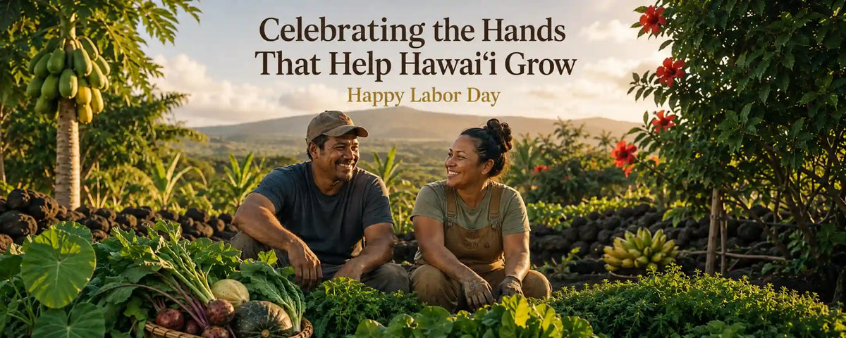 A Labor Day promotional scene in a tropical farm setting with two people sitting among vegetables and fruit trees, with the text 'Celebrating the Hands That Help Hawai'i Grow' and 'Happy Labor Day' overlaid at the top.