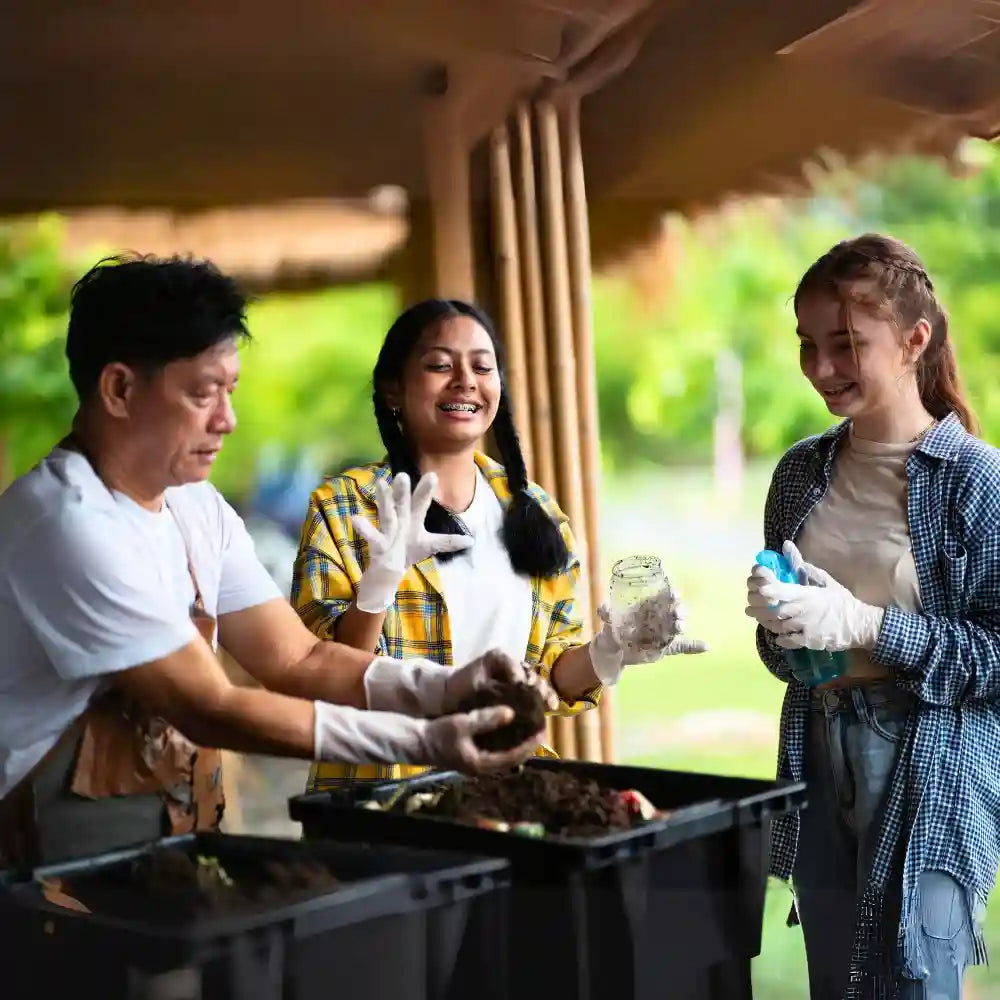  Apply Our High Quality Hawaiian Volcanic Organic Compost