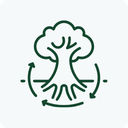 A minimalist line icon of a tree with roots and curved arrows around the trunk, shown in dark gray on a light gray background.