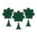 Three green trees icon on a white background