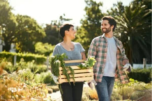 Organic Farm Proven