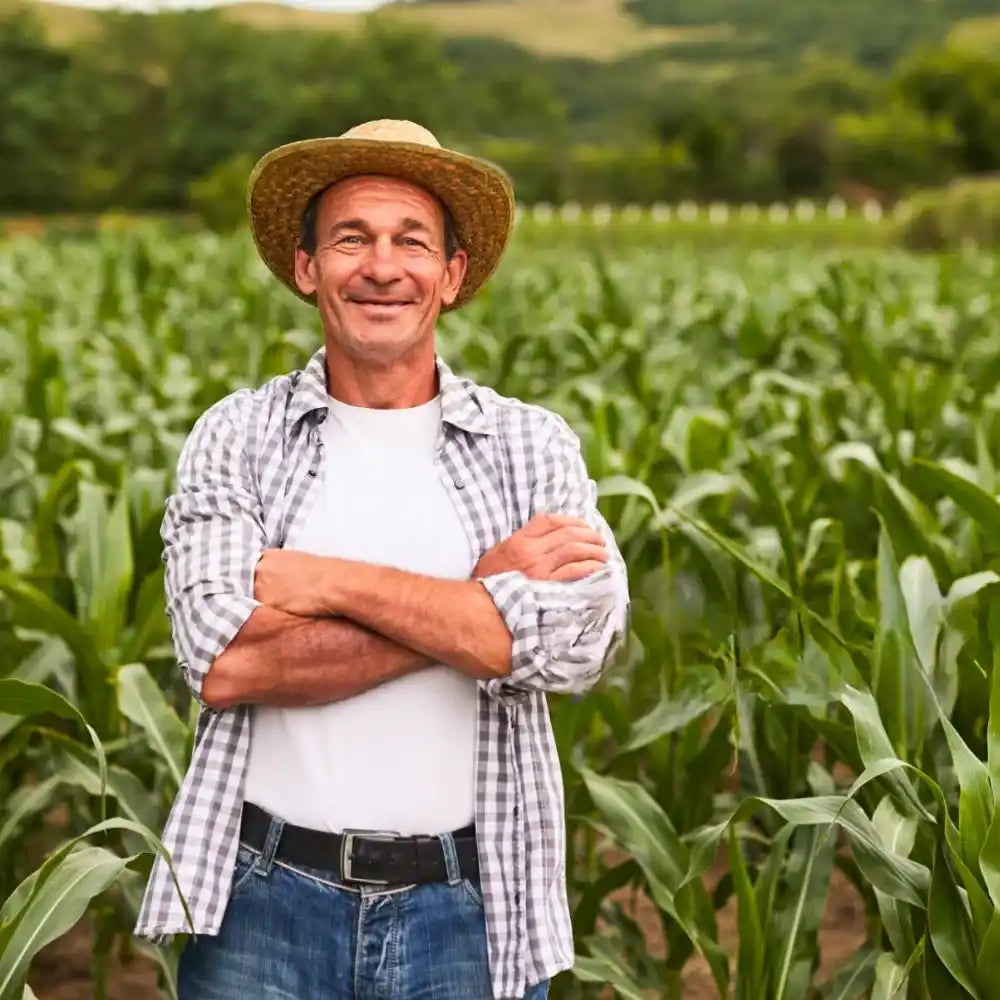 Experience the Power of Our Premium Soil & Dirt