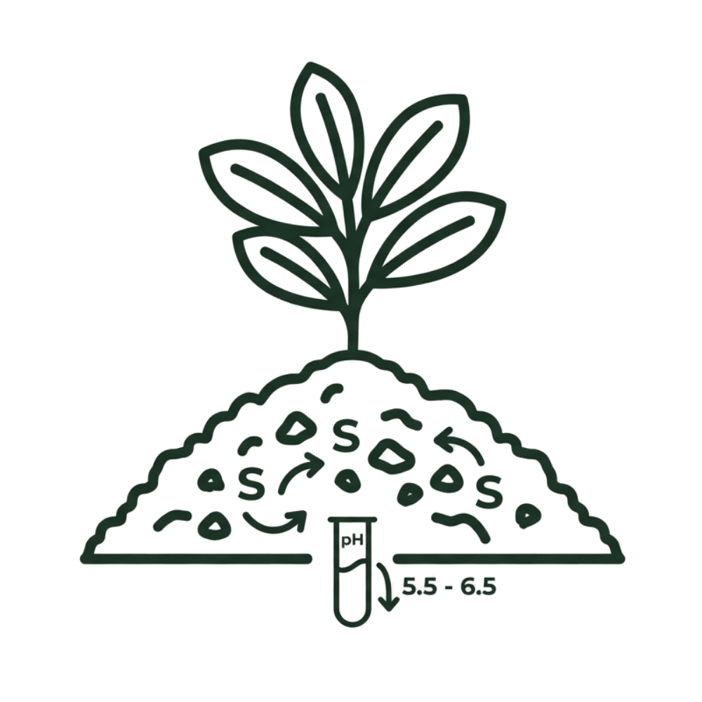 Icon illustrating precise pH soil testing and nutrient management in organic Hawaiian volcanic soil.