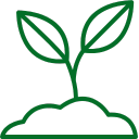 Soil Health Is Declining Globally