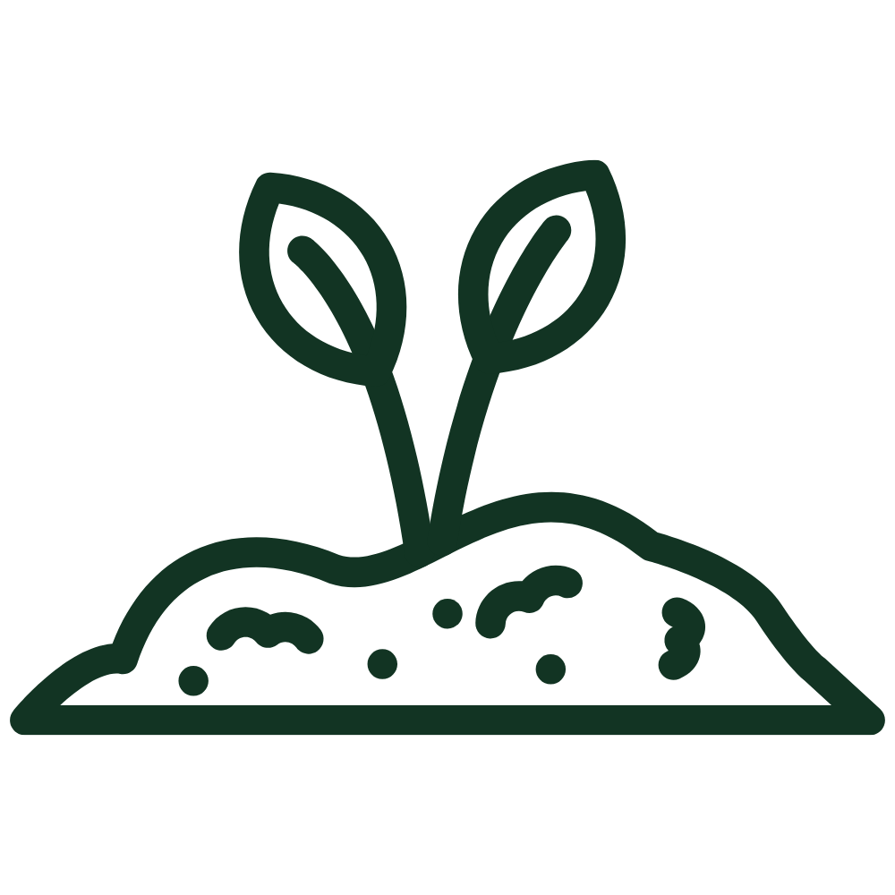 Icon of a small plant sprout growing in organic Hawaiian volcanic soil.