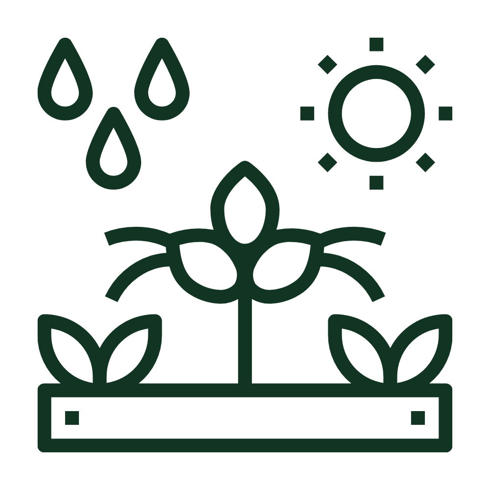Icon showing crops thriving under sun and rain, representing sustainable farming in organic Hawaiian volcanic soil.
