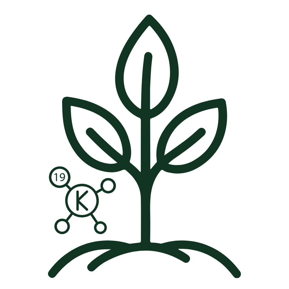 Icon illustrating nutrient absorption and potassium levels in Hawaiian volcanic organic soil.