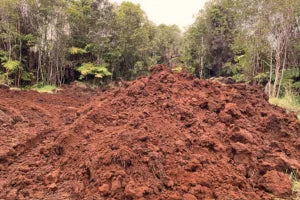 Top Soil