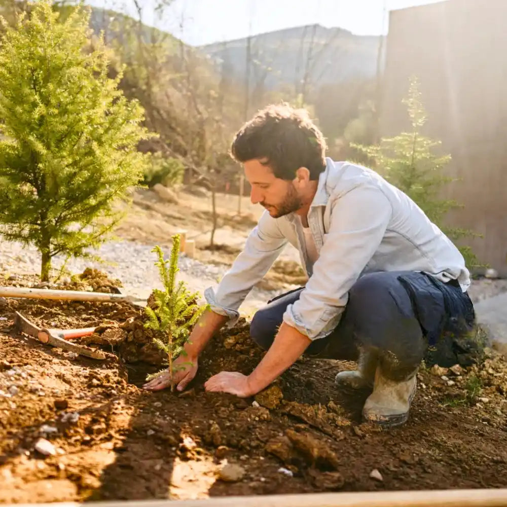 We're the Trusted Choice for Soil & Dirt