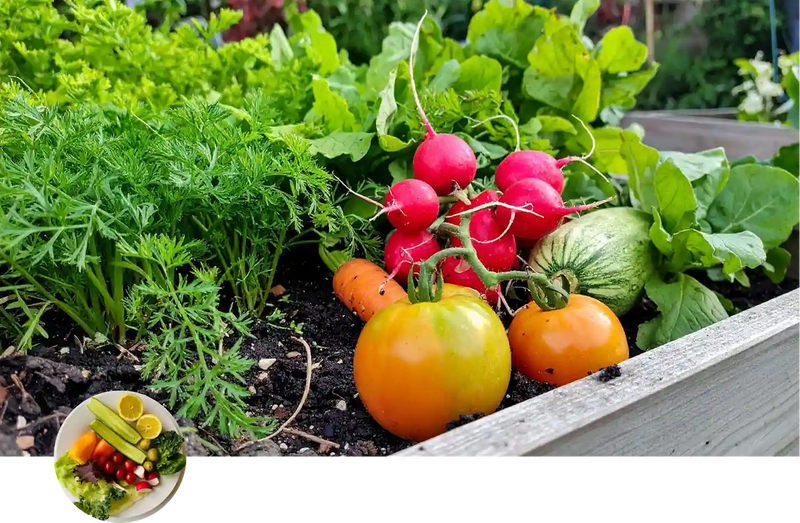 Raised Bed Vegetables custom soil mix