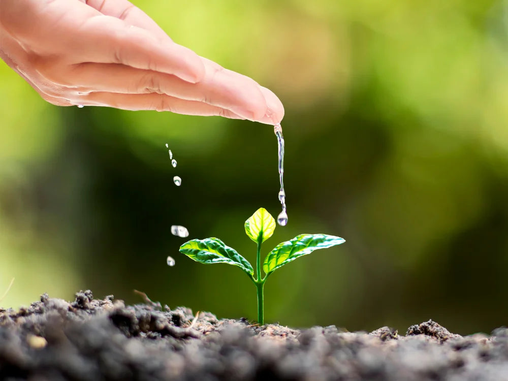 Volcanic Cinders Touch